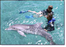 Kind bei Delphin unterstÃ¼tzter Therapie