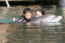 Dolphin Therapy in Eilat -  Israel